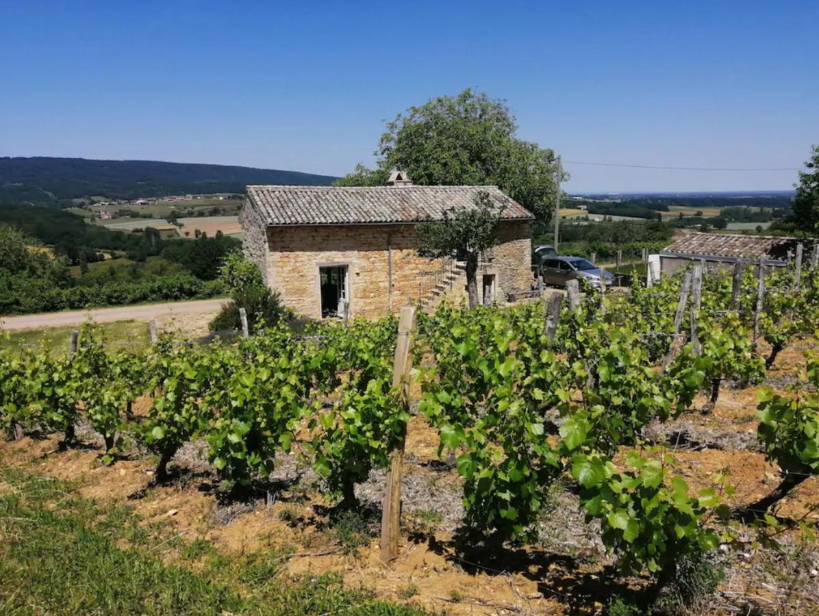 Une Maison De Campagne En Bourgogne Du Sud Tournus Exterior photo